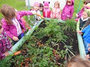 Zahradničíme ve školce